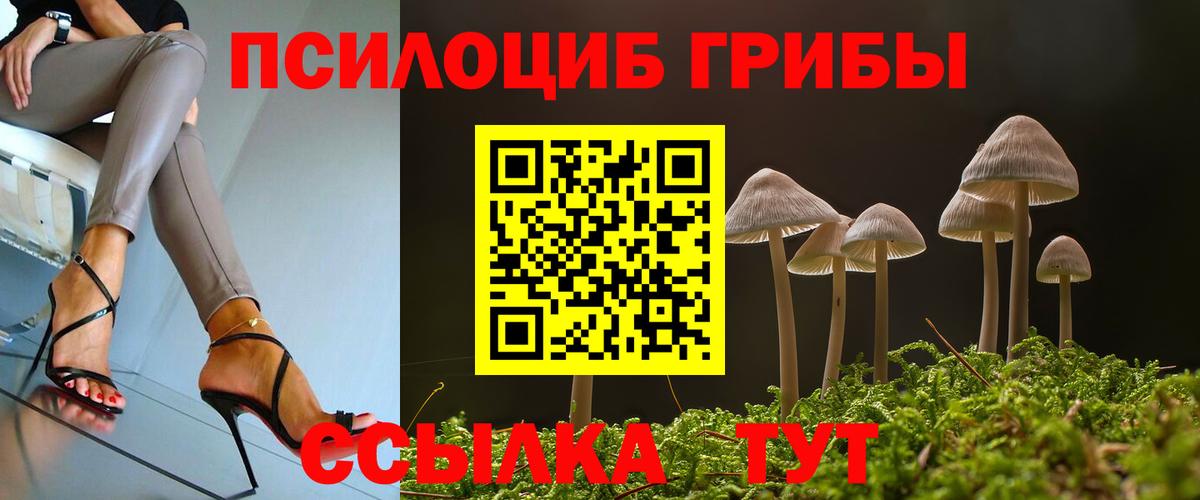 Абинск  Псилоцибиновые грибы ЛСД  Вход с VPN  Галлюциногенные грибы мицелий 