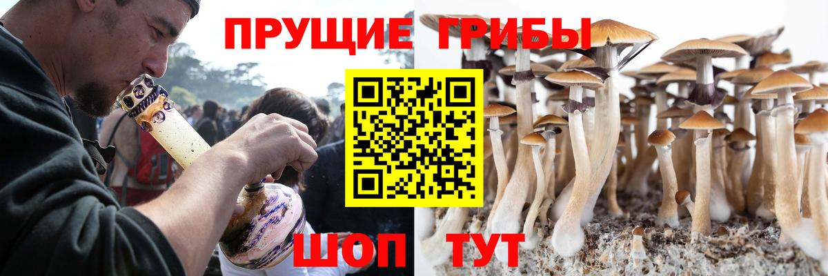 Галлюциногенные грибы GOLDEN TEACHER Абинск